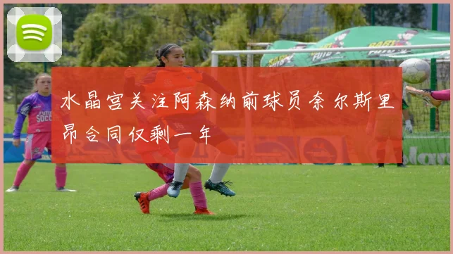 水晶宫关注阿森纳前球员奈尔斯里昂合同仅剩一年
